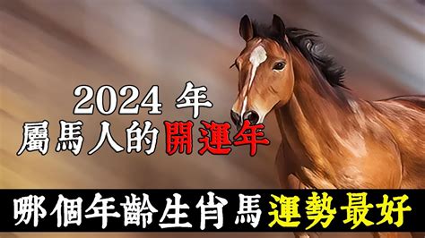 屬馬幾年次|屬馬今年幾歲？2024屬馬生肖年齡對照表！屬馬性格特質